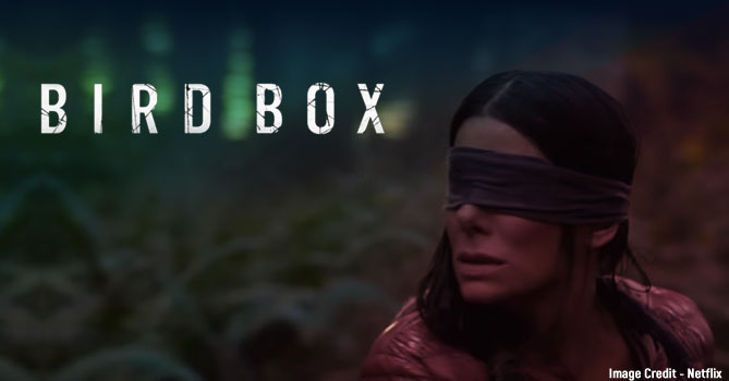 BIRD BOX