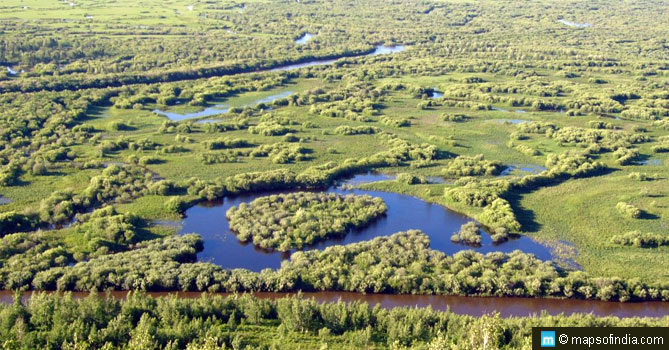 World Wetlands Day | What are Wetlands And Why They Are Important For Earth’s Survival; Climate Change is Real