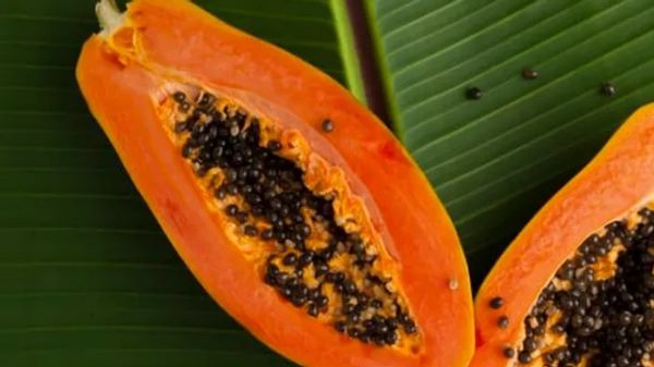 Botanically what kind of fruit is this - Amazon Quiz