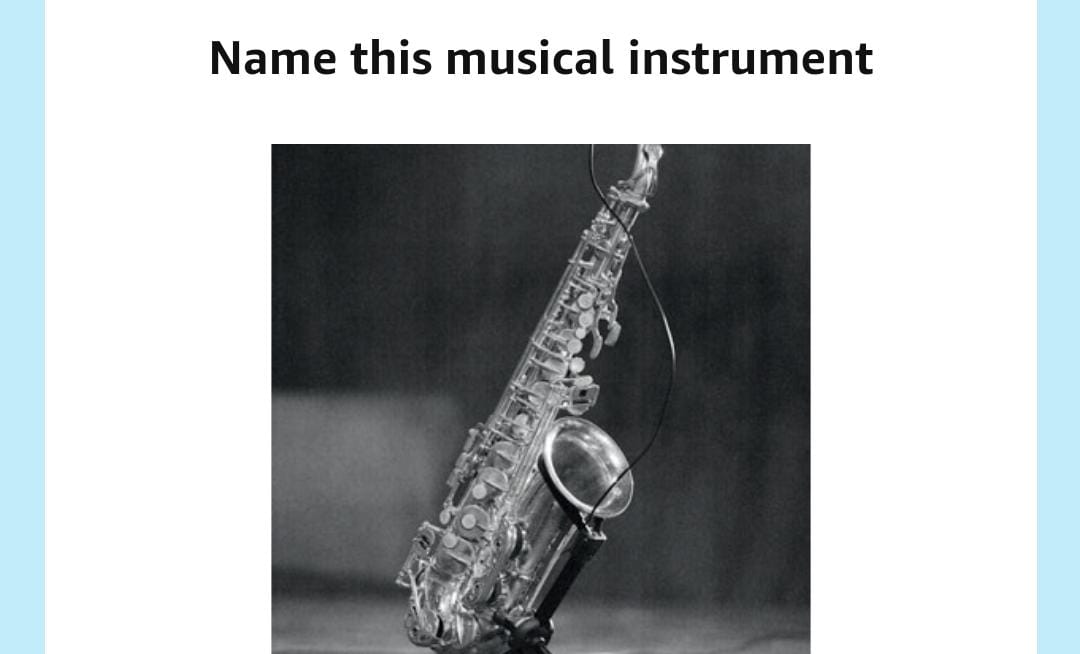 Name this musical instrument