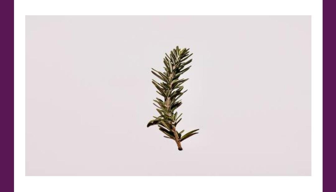 In which book of Shakespeare, is this herb mentioned as 'for remembrance' Amazon Quiz