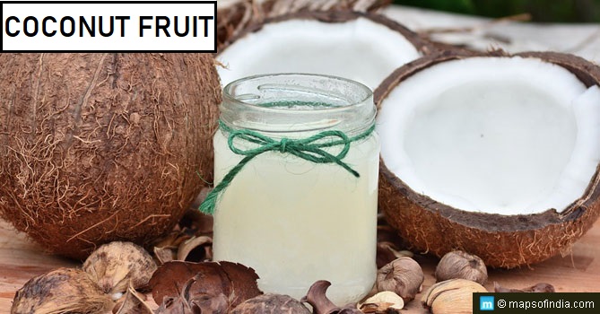 Coconut Fruit