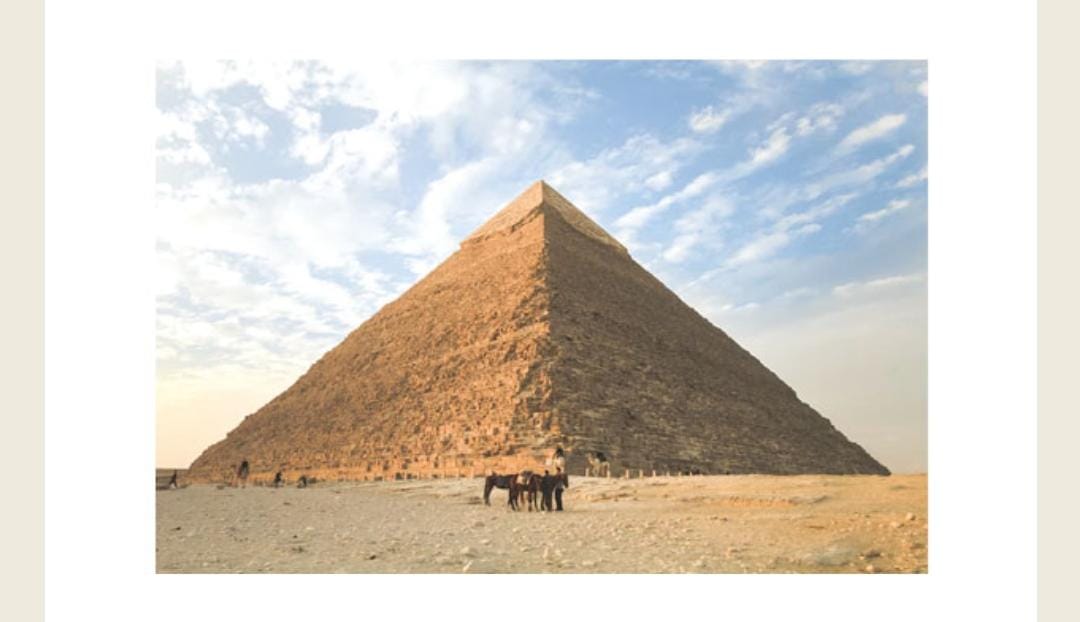 Which unit of measurement is used to measure these structures Amazon Quiz