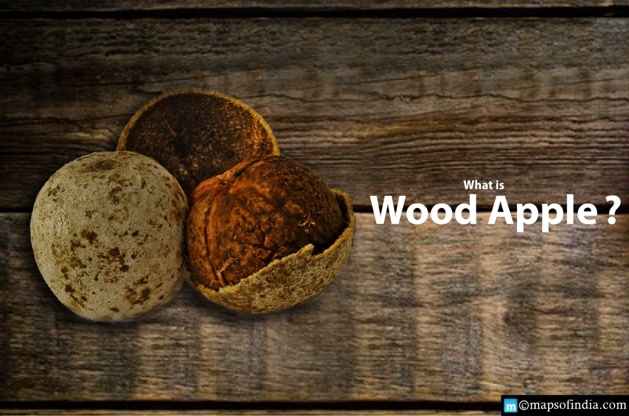 Know about the Benefits of Wood Apple