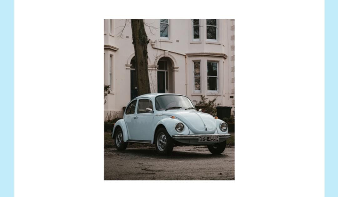 Which insect does this vehicle share its name with Ant Beetle Lady Bug Mosquito