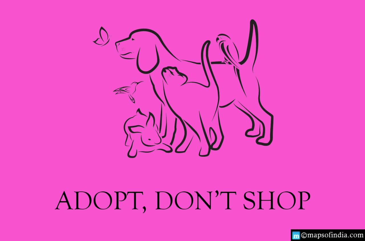Top 10 Animal Shelters in India in 2021