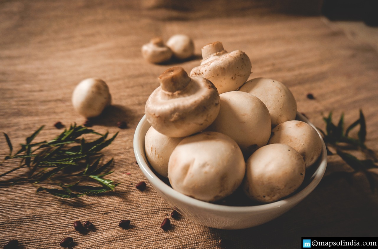 What are the Health Benefits Of Mushrooms?