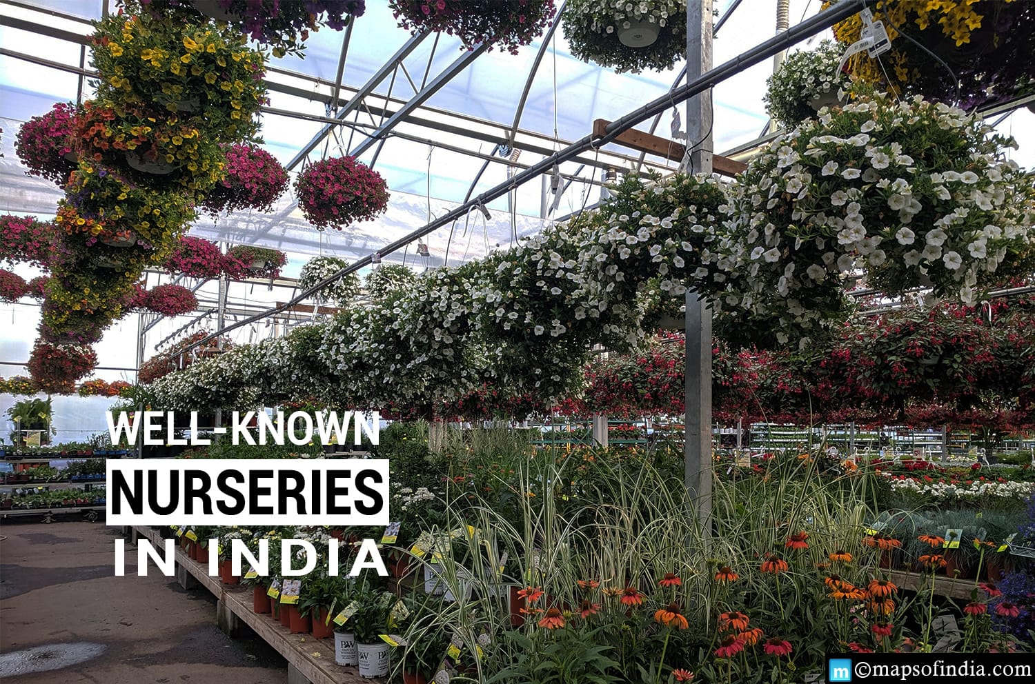 Know about the well-known Plant Nurseries in India