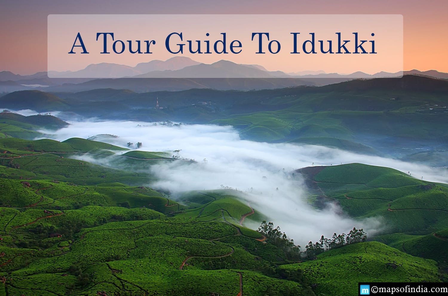 A Travel Guide To Idukki Hill Station