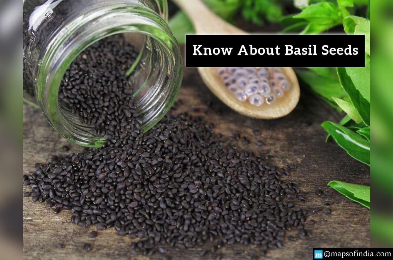All you need to Know about Basil Seeds