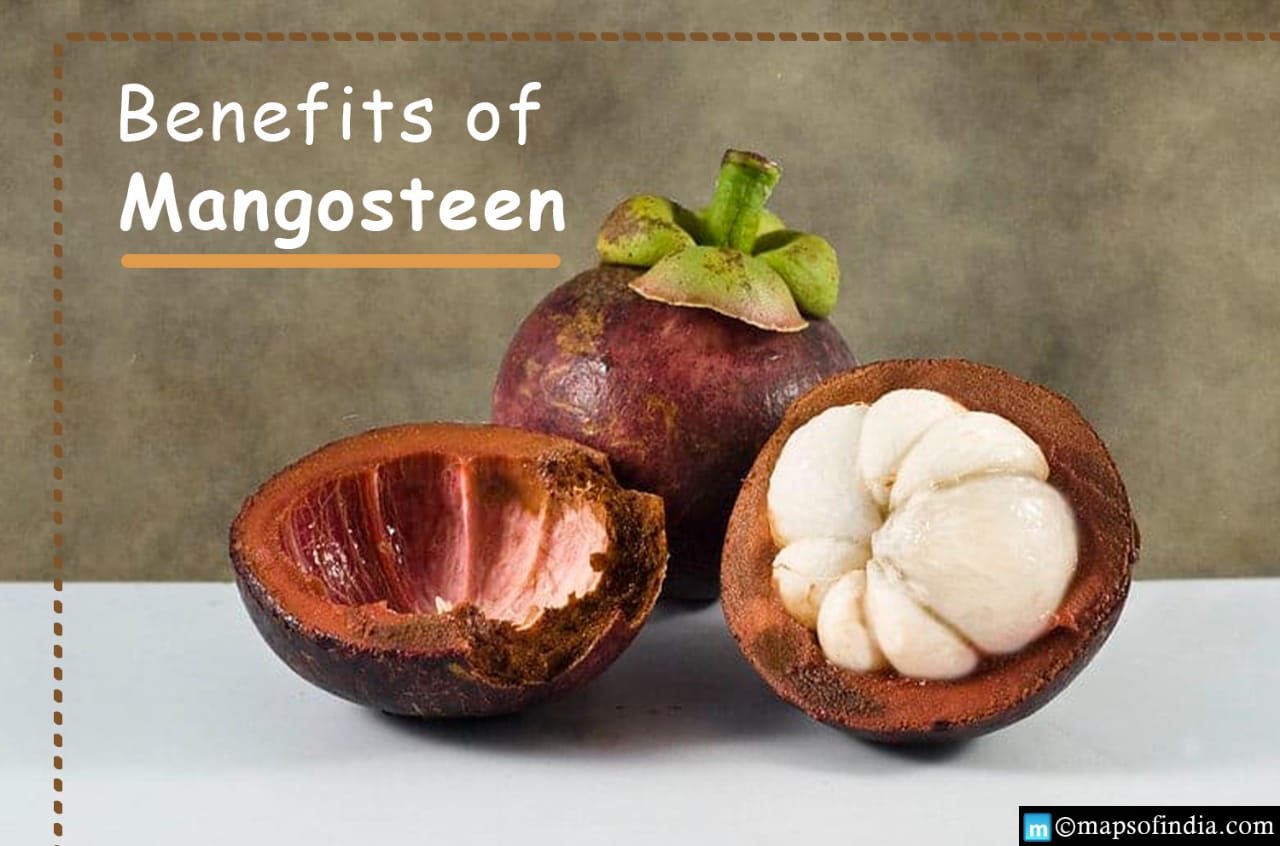 What are the benefits of Mangosteen?