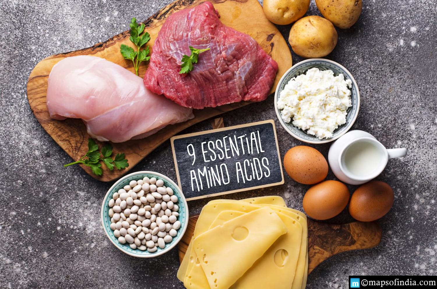 What are the 9 essential Amino Acids?