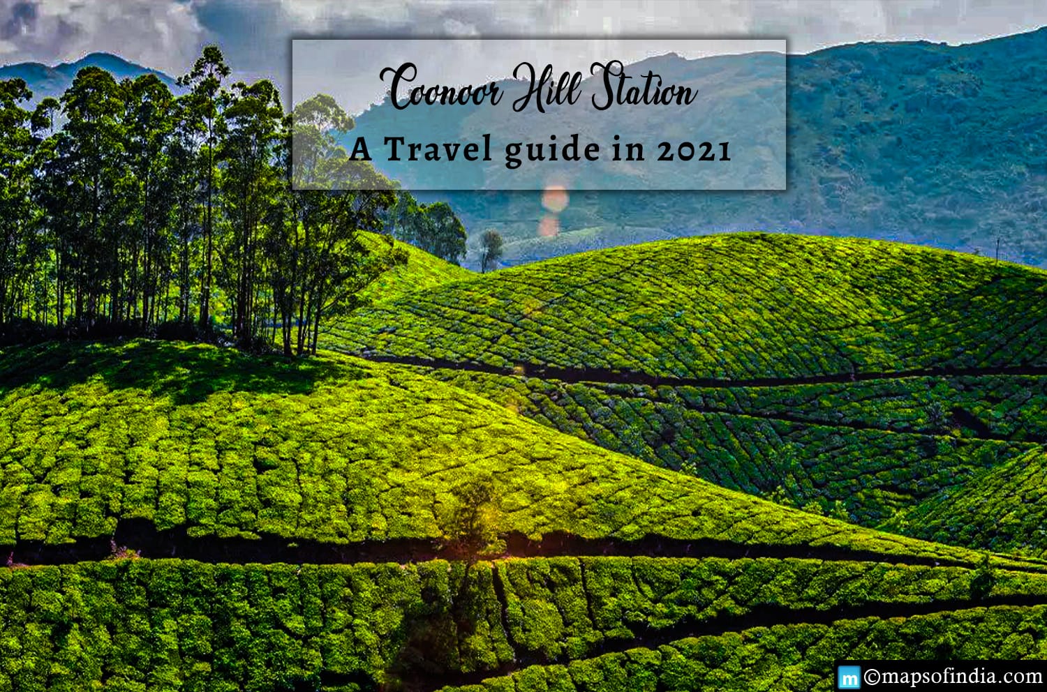 A Travel Guide to Coonoor Hill Station
