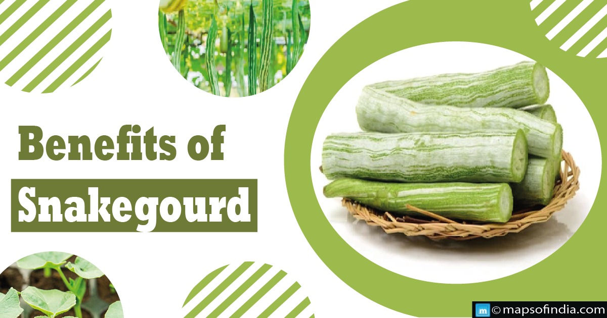 What are the benefits of Snake gourd?