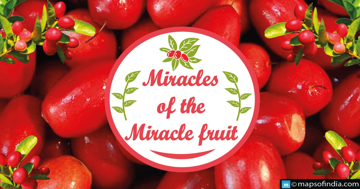 Know about the Miracles Of The Miracle Fruit