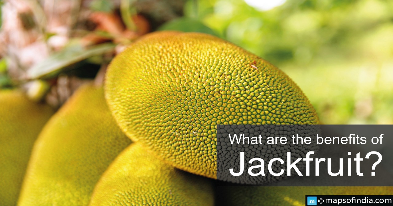 What are the benefits of Jackfruit?