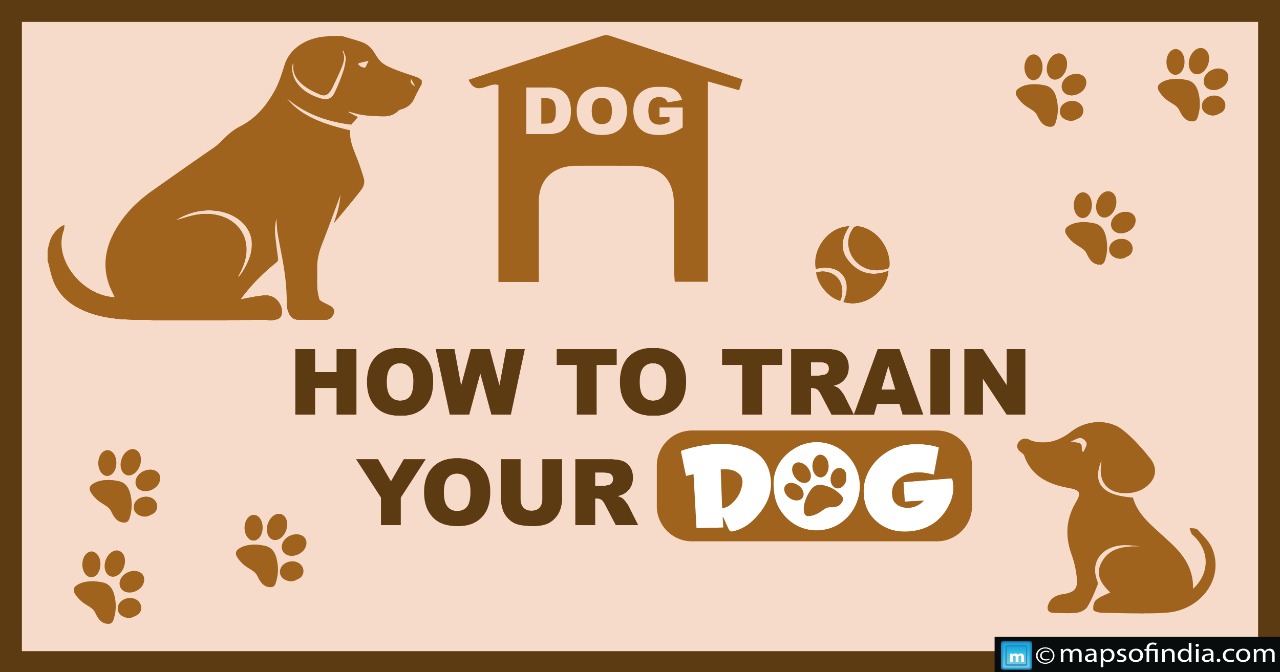 How To Train Your Dog?