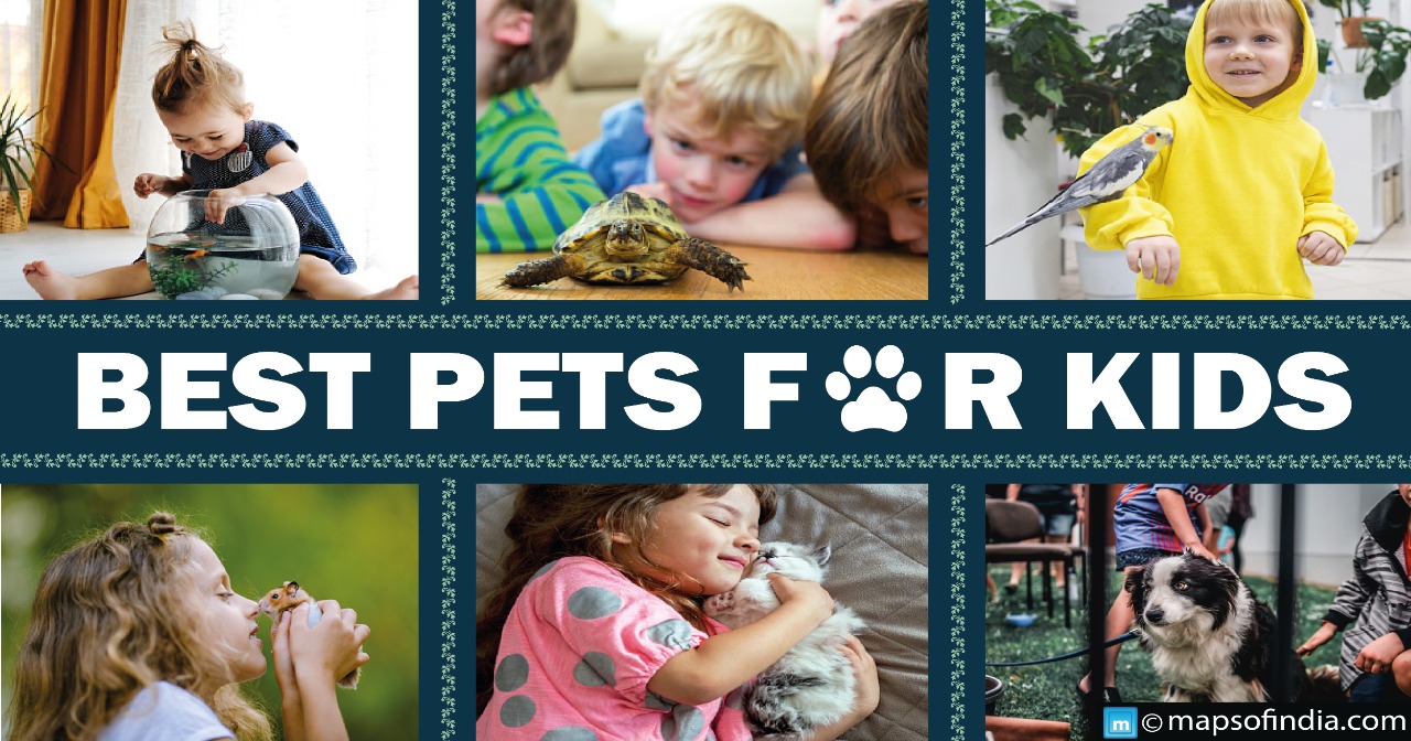 Know About The Best Pets For Kids