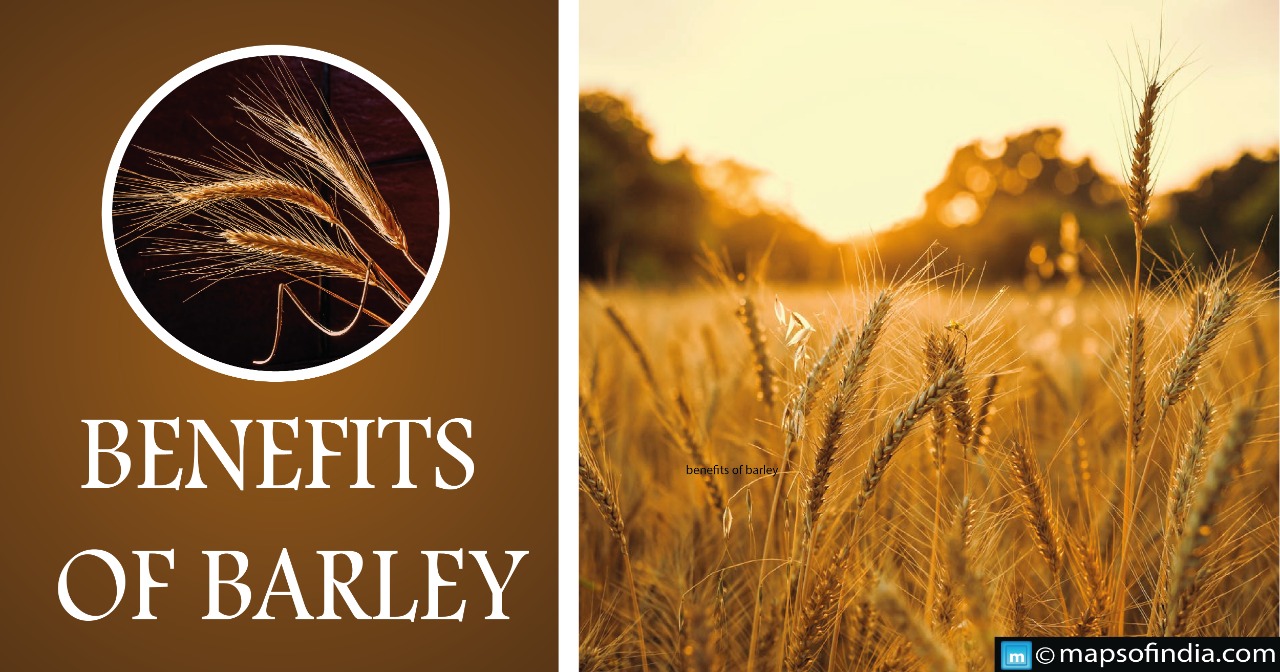 What are the benefits of Barley?