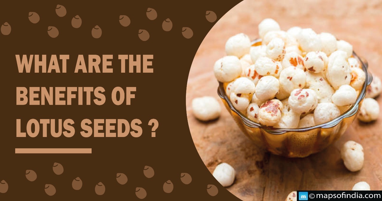 What are the benefits of Lotus Seeds?