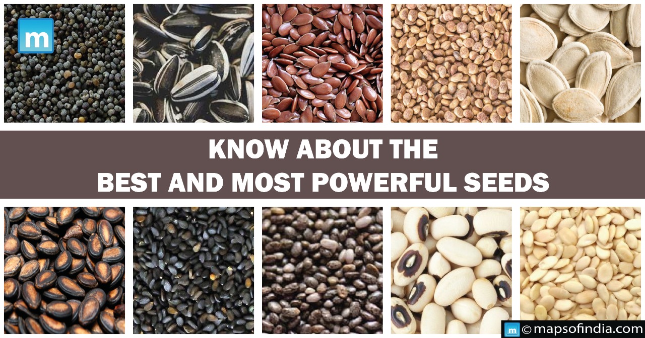 Know about the best and most powerful seeds