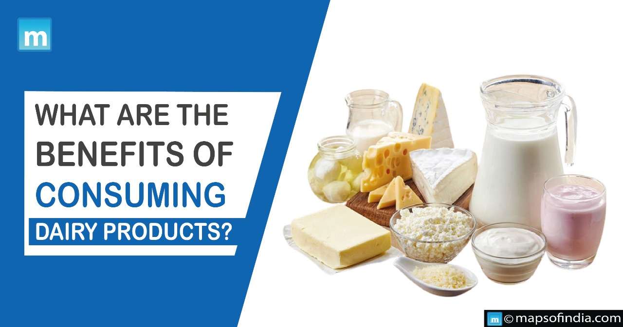 What are the benefits of consuming Dairy Products?