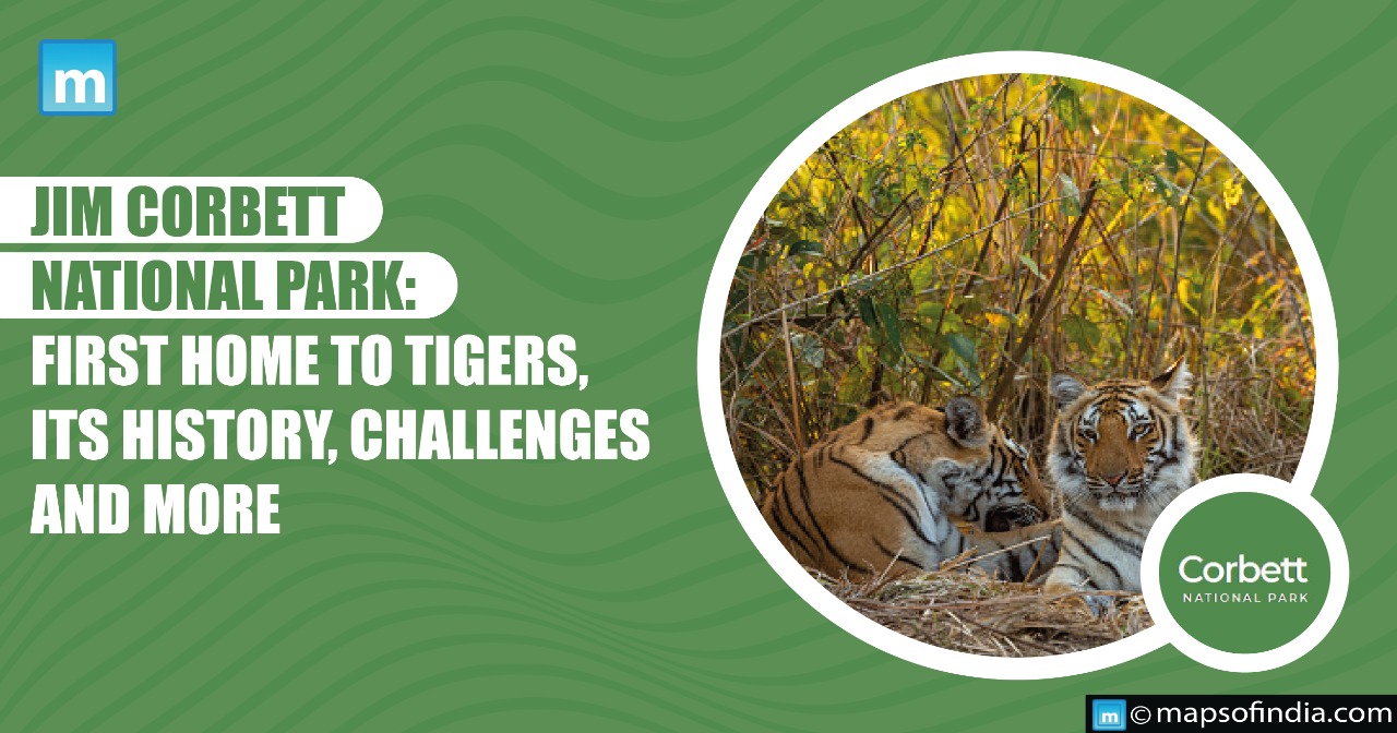 Jim Corbett National Park: First Home to Tigers, its History, Challenges and more