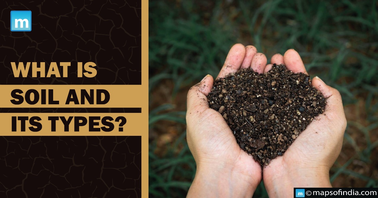 What is the Meaning of Soil? Exploring the Eight Types of Soils Found in India - A Comprehensive Overview