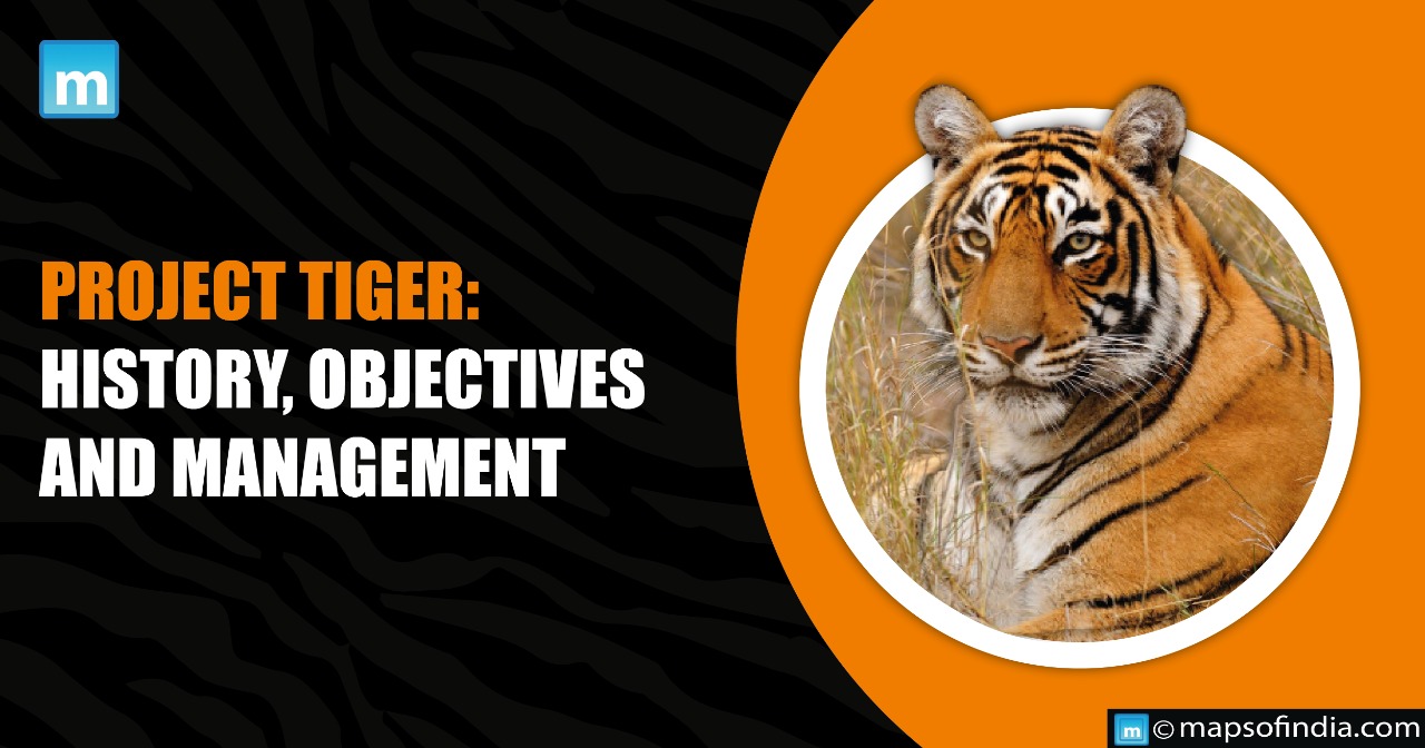 Project Tiger: History, Objectives and Management