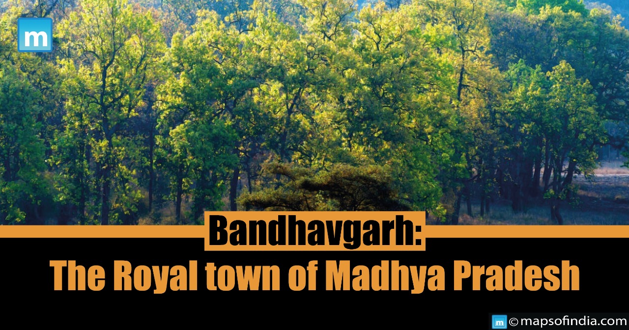 Bandhavgarh: The Royal town of Madhya Pradesh