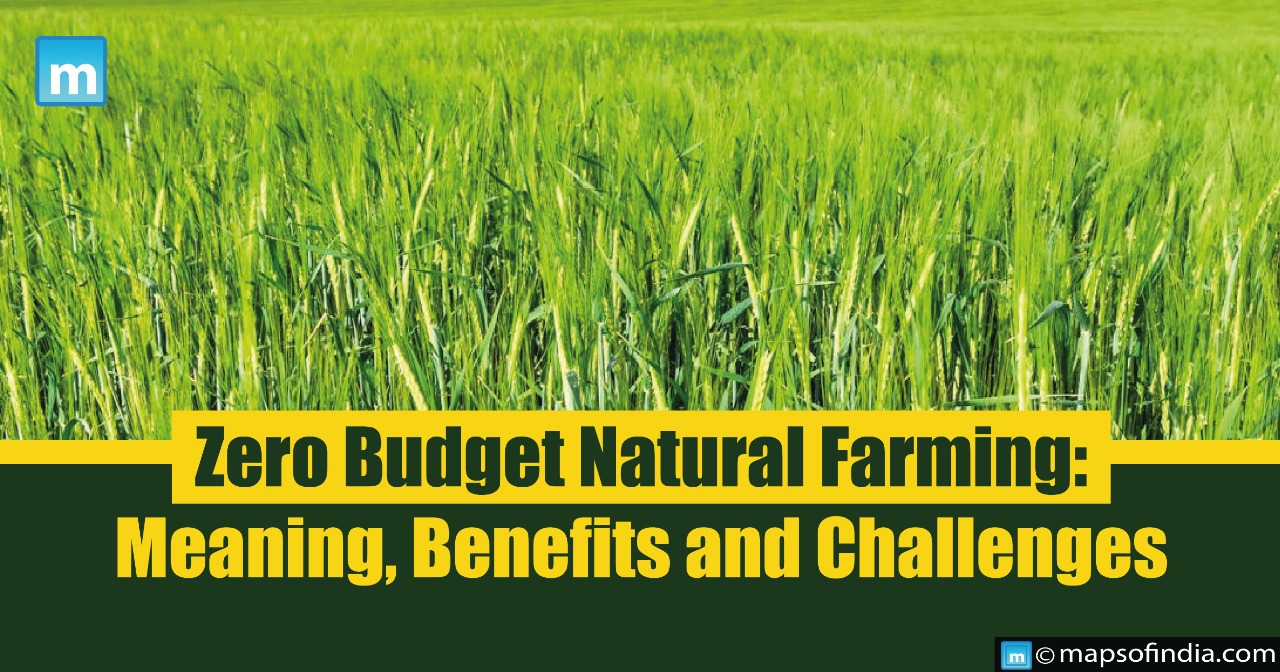 Zero Budget Natural Farming: Meaning, Benefits and Challenges