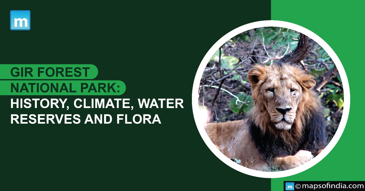 Gir Forest National Park: History, Climate, Water Reserves And Flora