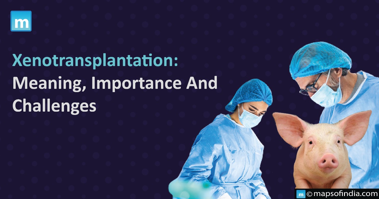 Xenotransplantation: Meaning, Importance And Challenges