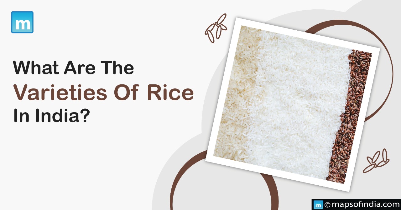 What are the varieties of Rice in India?