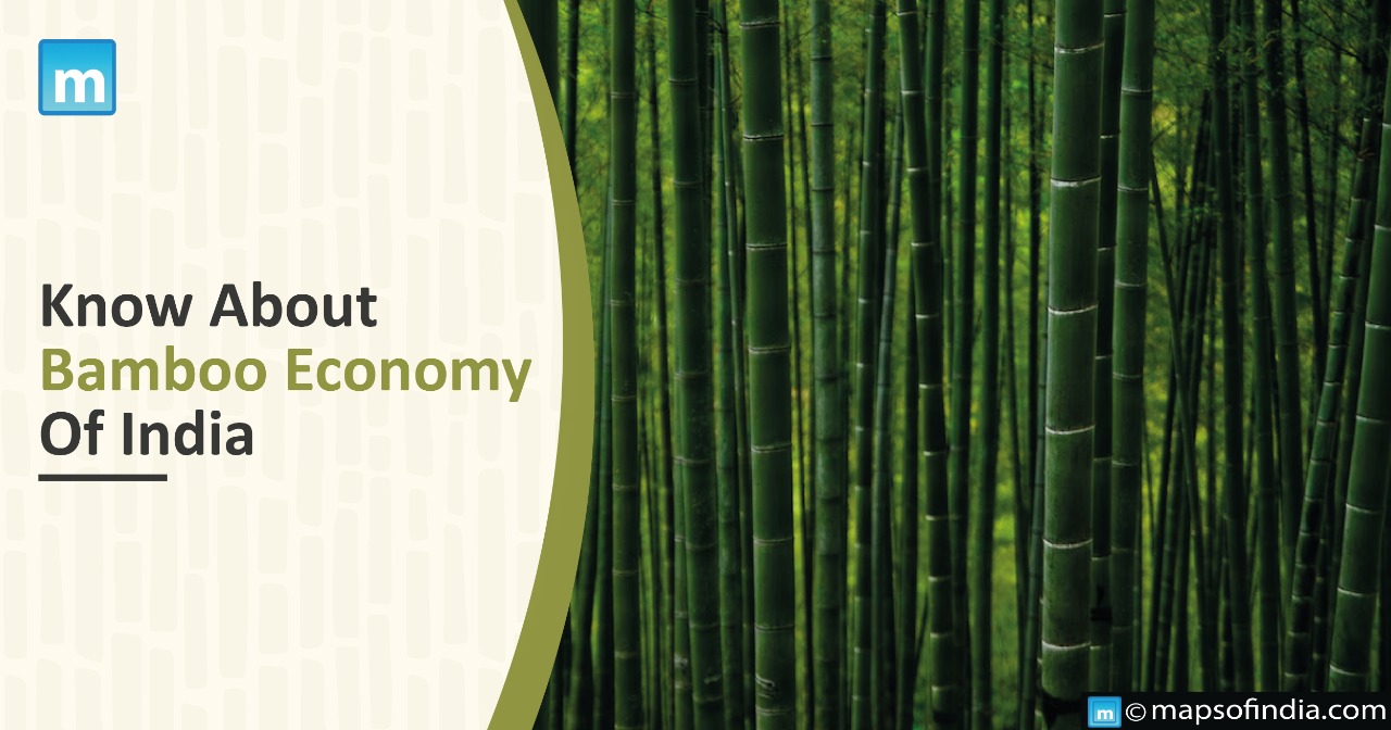Know About Bamboo Economy Of India