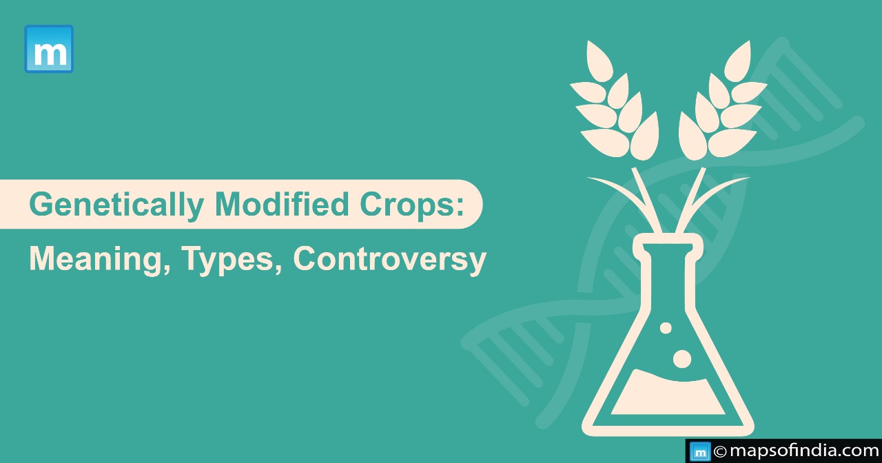 Genetically Modified Crops: Meaning, Types And Controversy