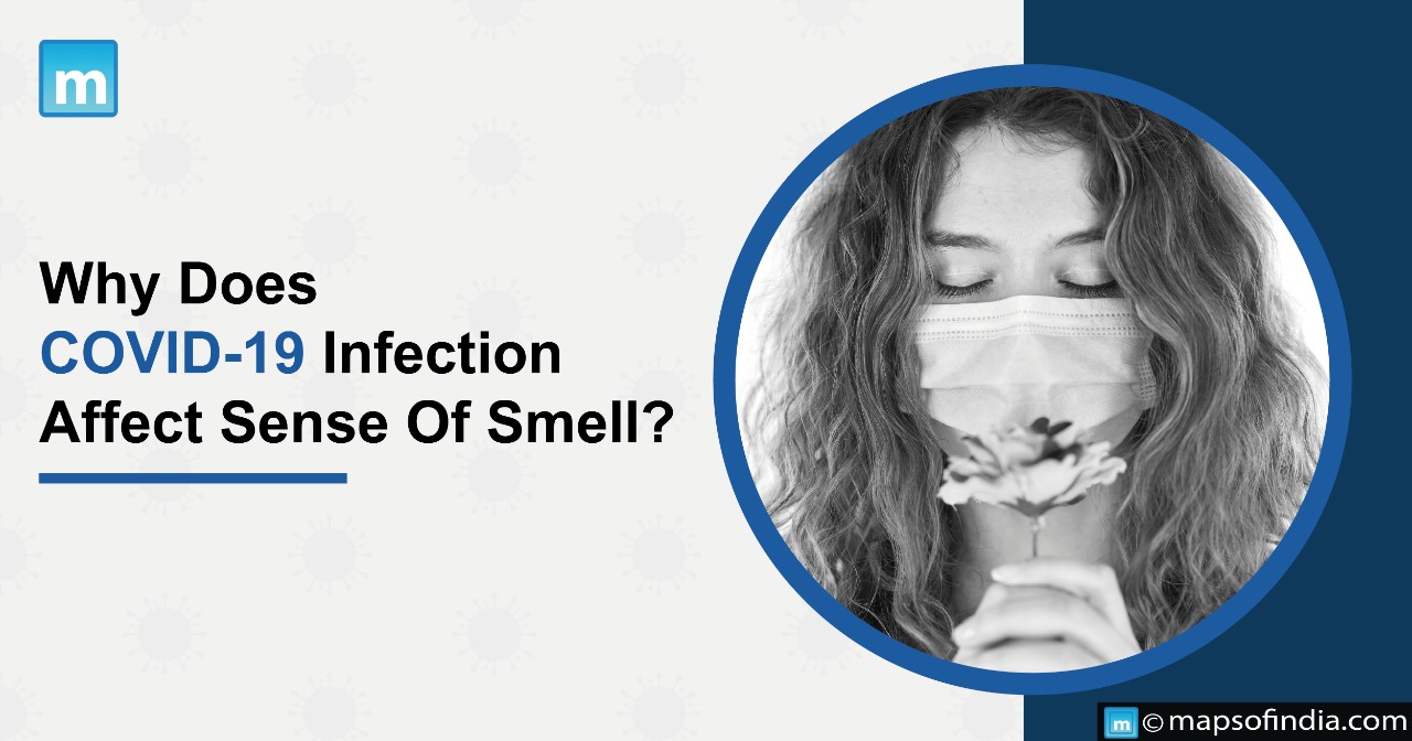 Why Does COVID-19 Infection Affect The Sense Of Smell?