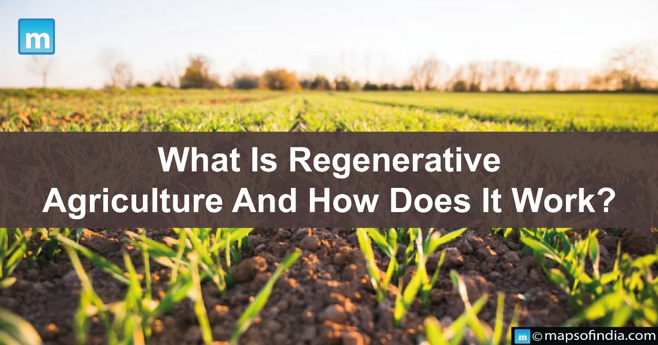 What Is Regenerative Agriculture And How Does It Work?
