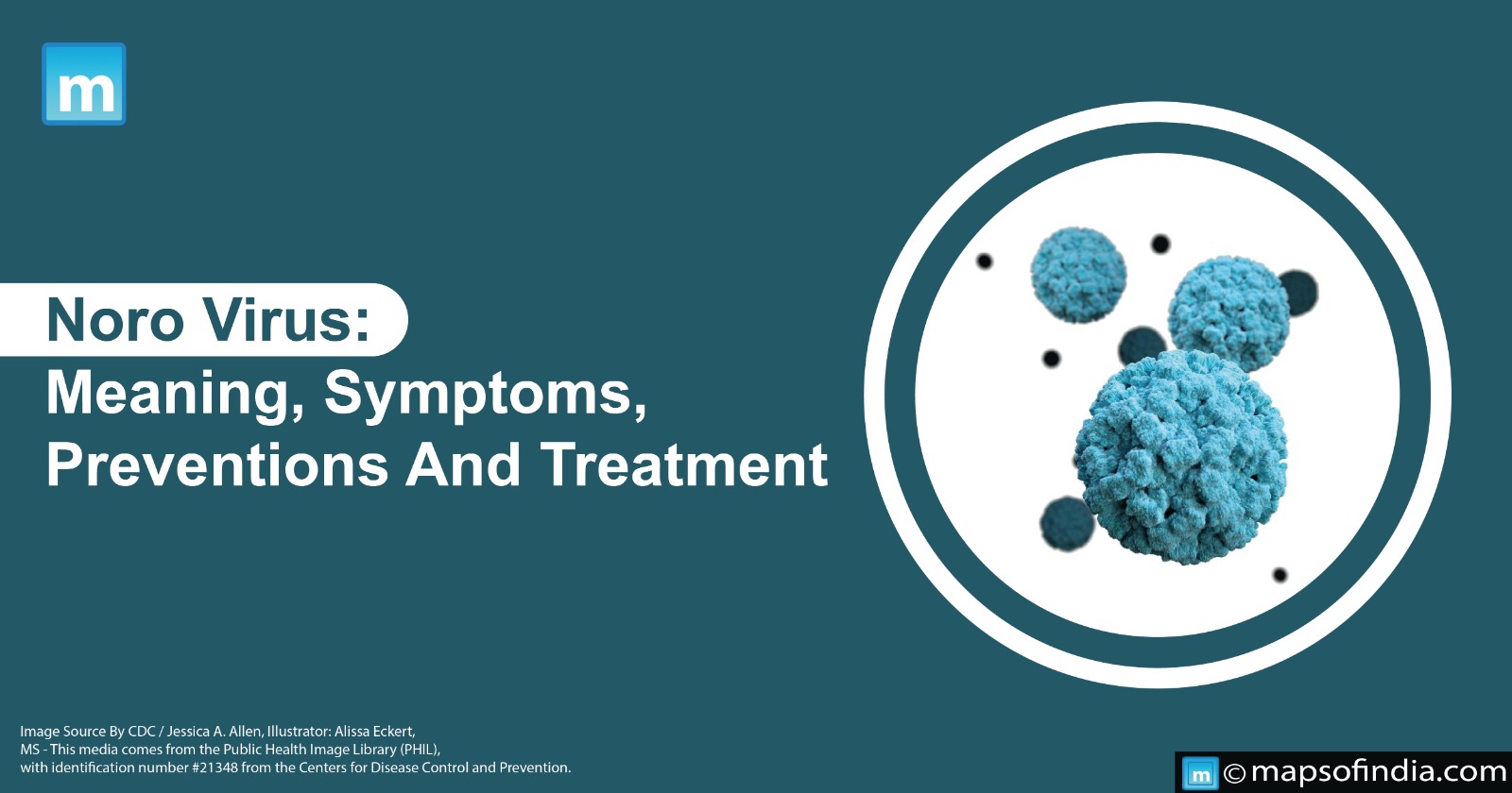 Noro Virus: Meaning, Symptoms, Preventions And Treatment