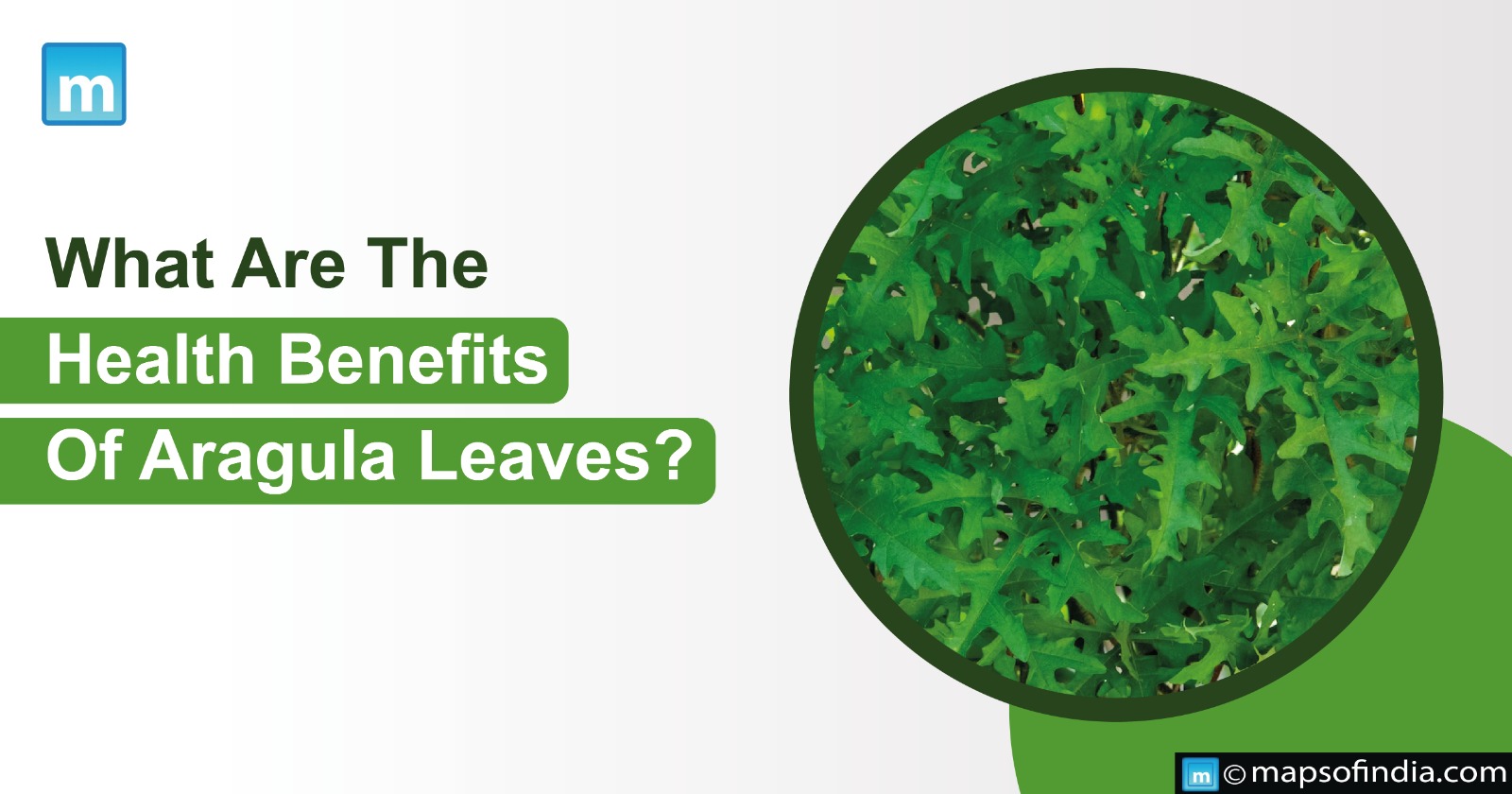 What Are The Health Benefits Of Arugula Leaves?