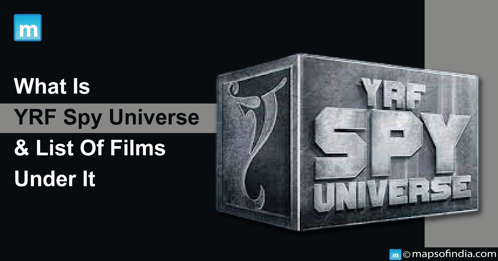 What Is YRF Spy Universe & List Of Films Under It