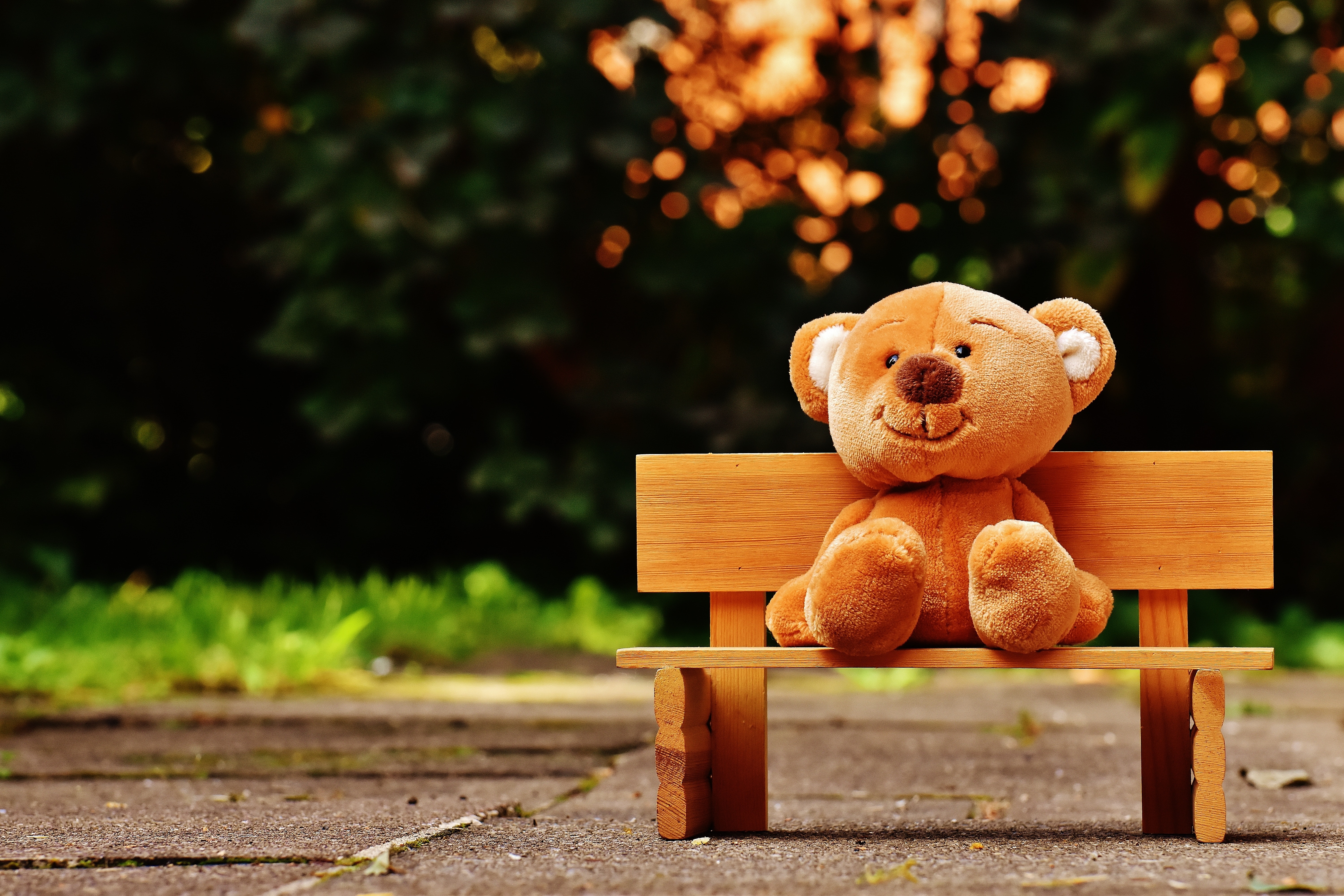 Teddy Day, Valentine's Day 2023: The Fourth Day of Valentine's Week is Teddy Day, Celebrate By Sending Wishes