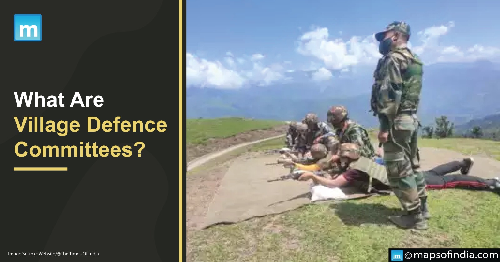 What Are Village Defence Committees?