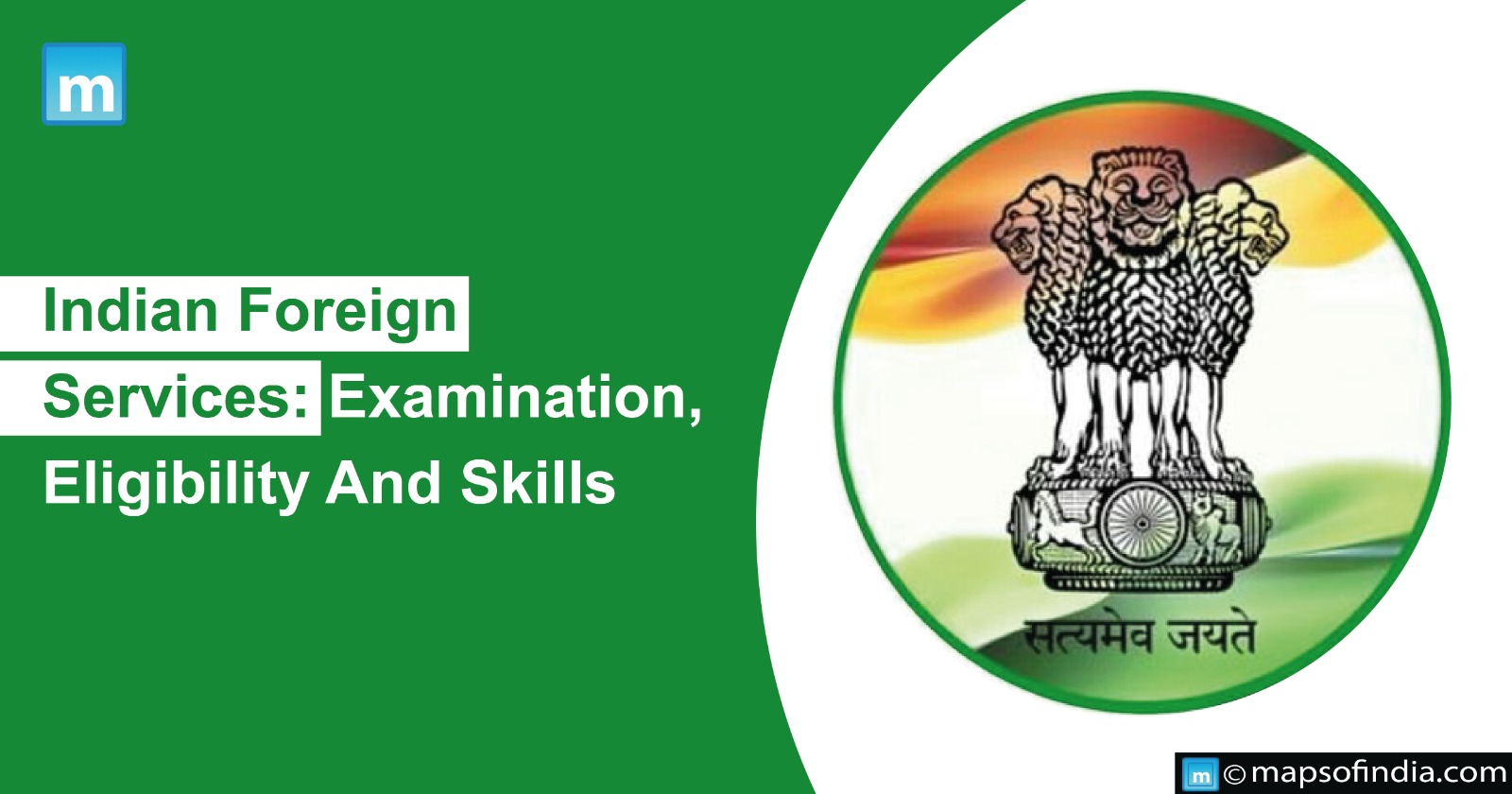 Indian Foreign Services: Examination, Eligibility And Skills
