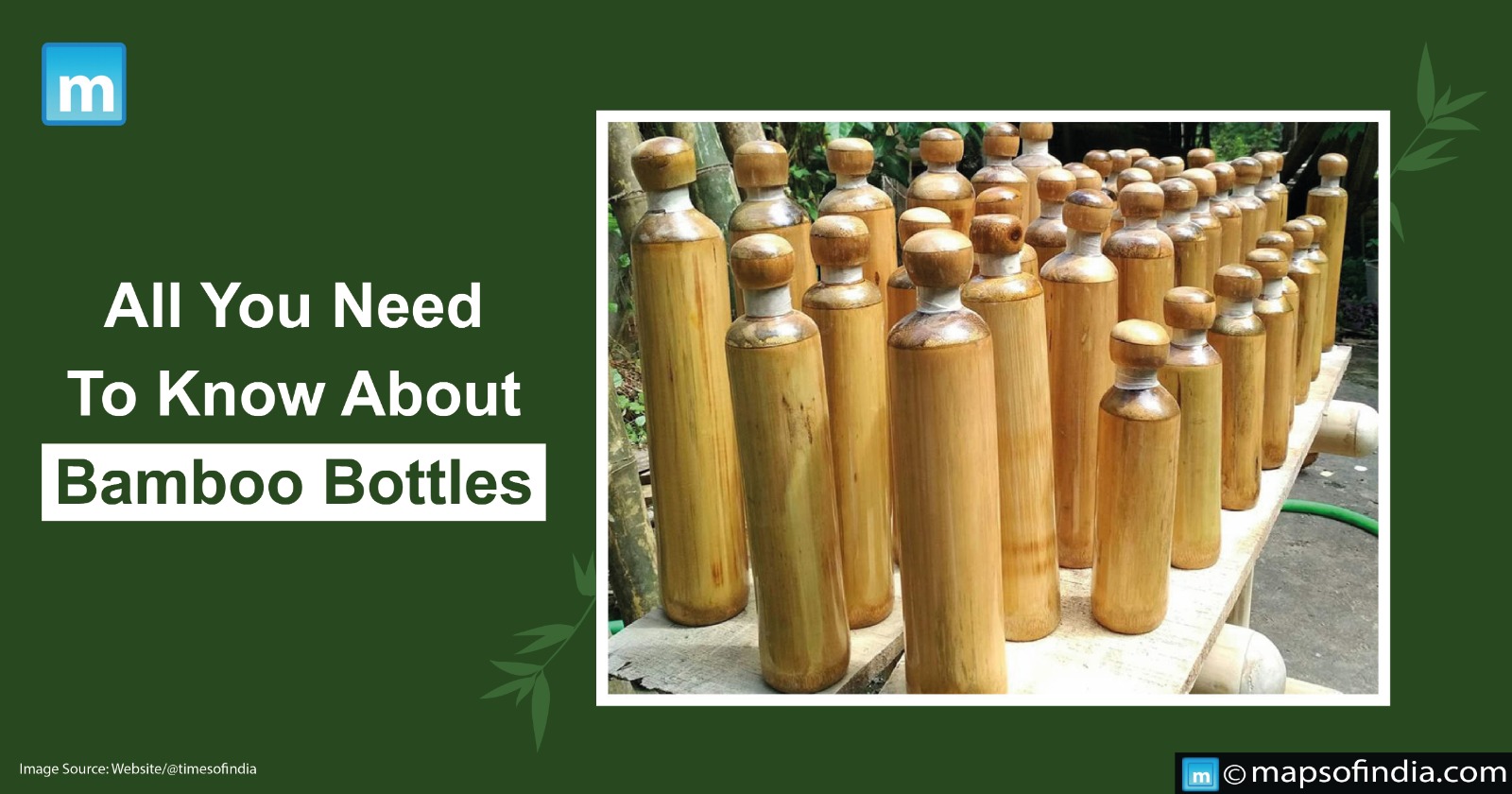 All You Need To Know About Bamboo Bottles