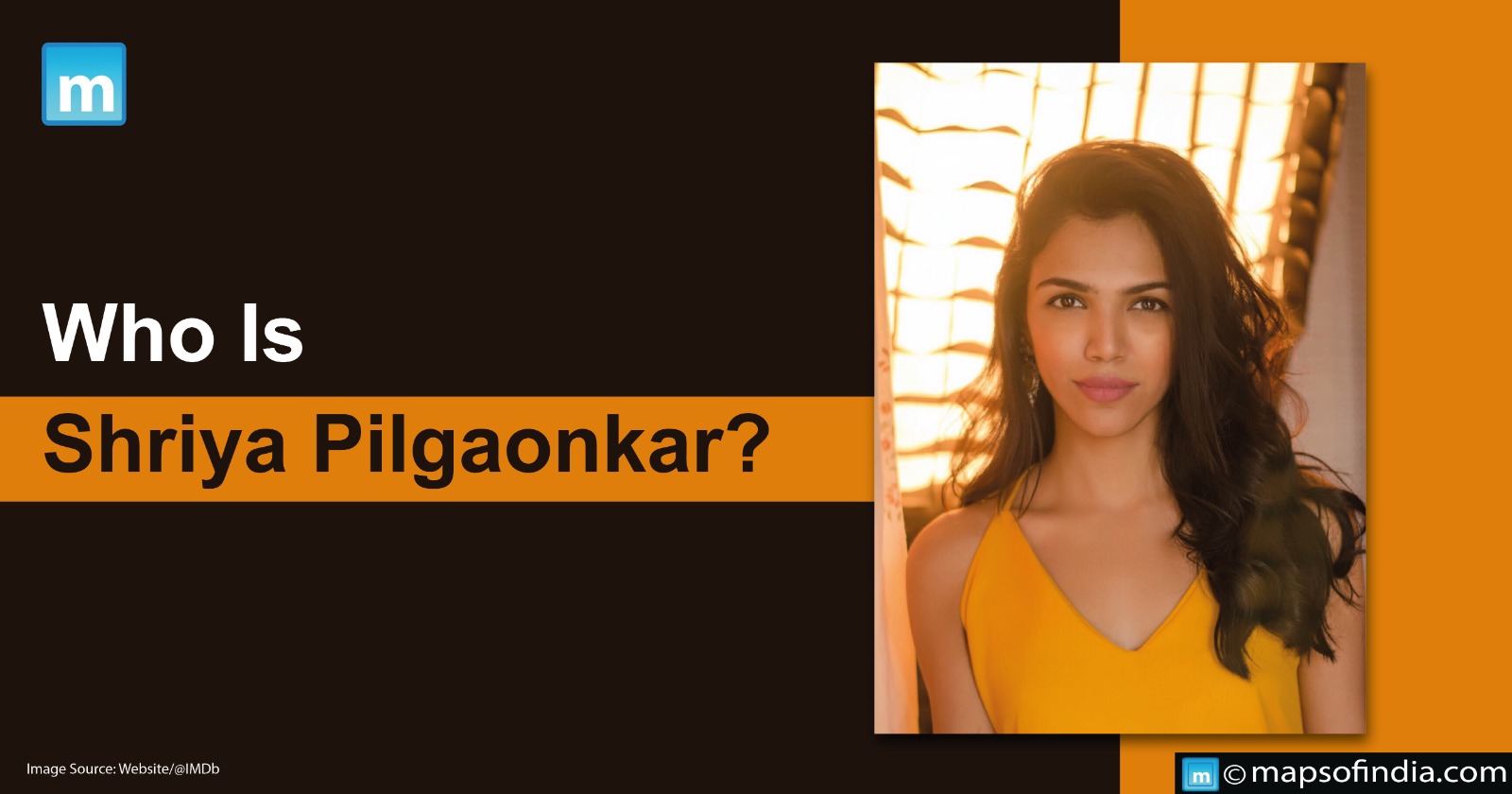 Who Is Shriya Pilgaonkar?
