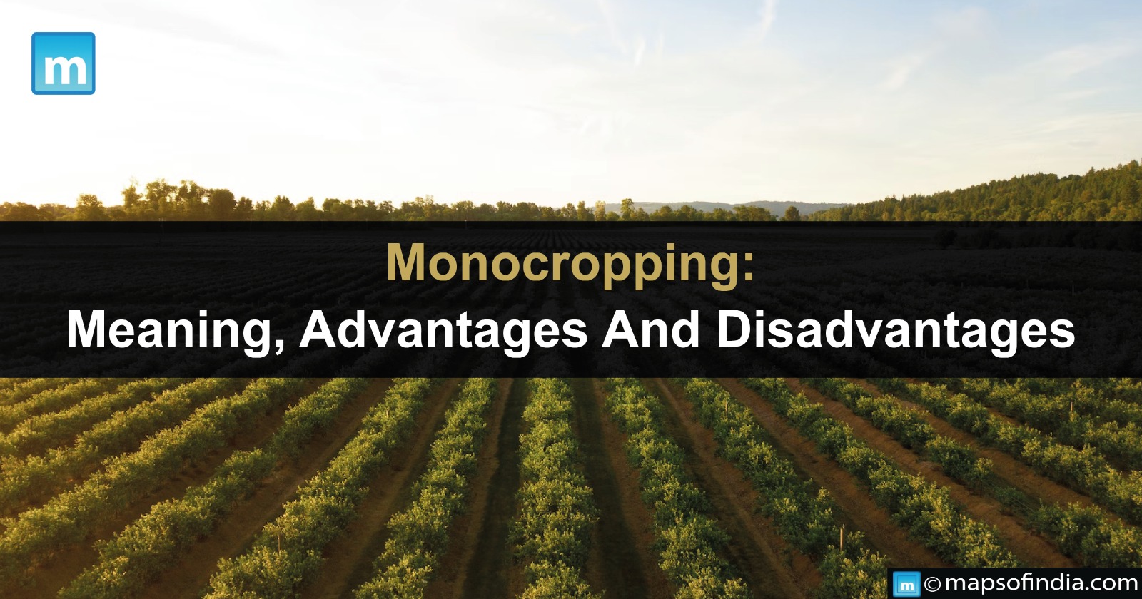 Monocropping: Meaning, Advantages And Disadvantages