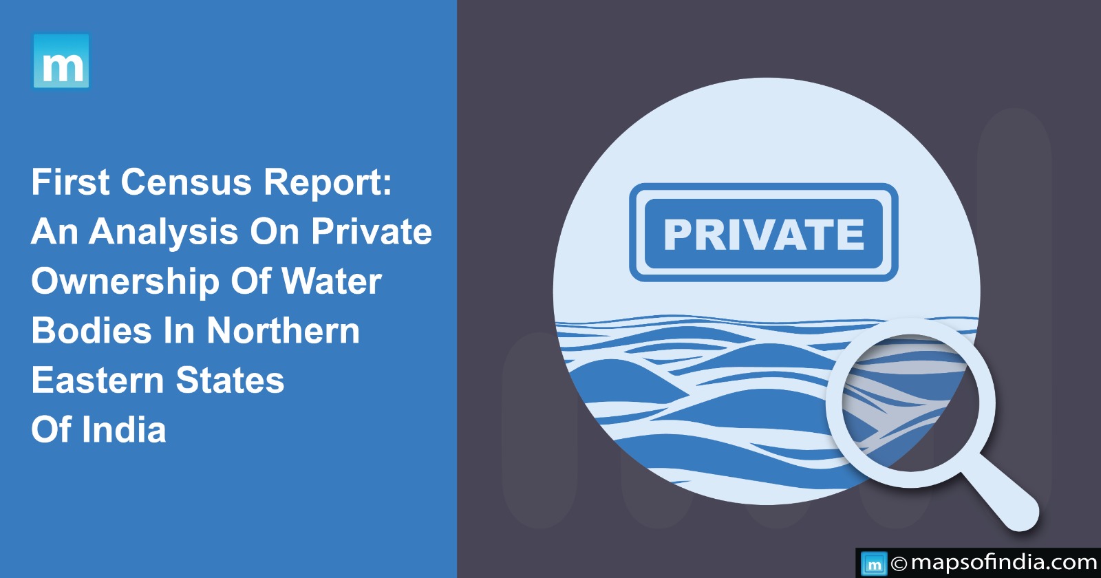 First Census Report: An Analysis On Private Ownership Of Water Bodies In North-Eastern States Of India
