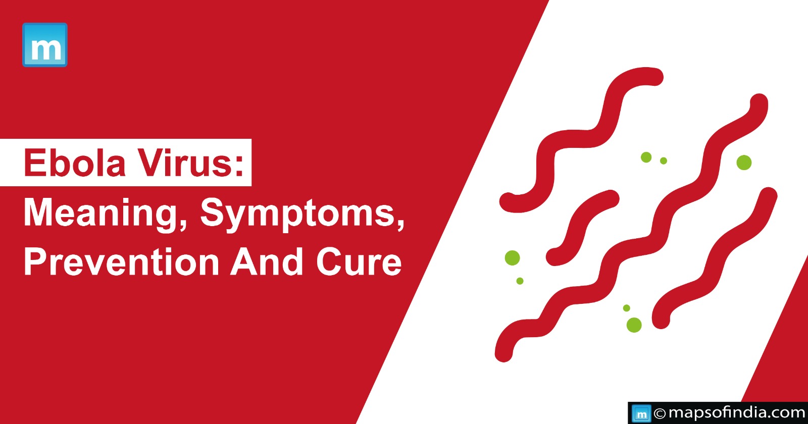 Ebola Virus: Meaning, Symptoms, Prevention And Cure