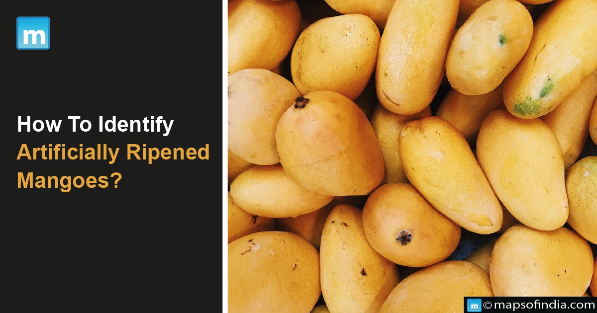 How To Identify Artificially Ripened Mangoes?